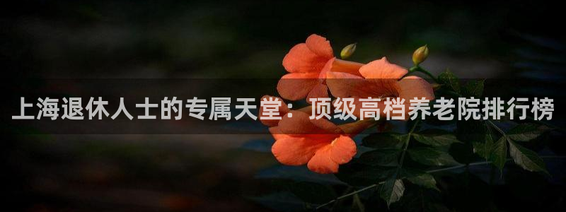 韦德1946bet