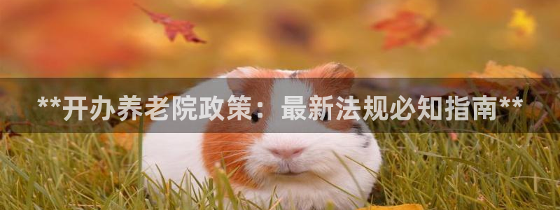 韦德游戏大厅