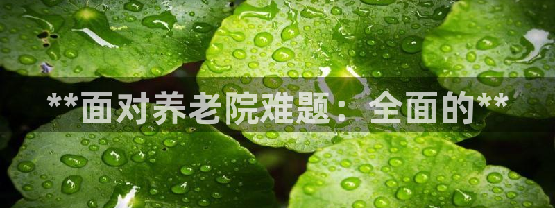 韦德1946体育