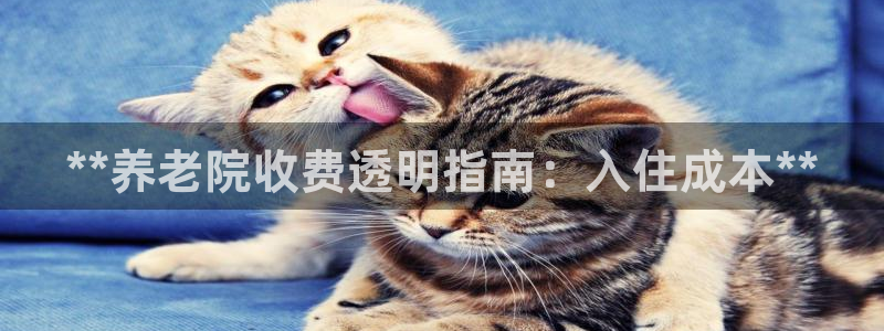 韦德2016