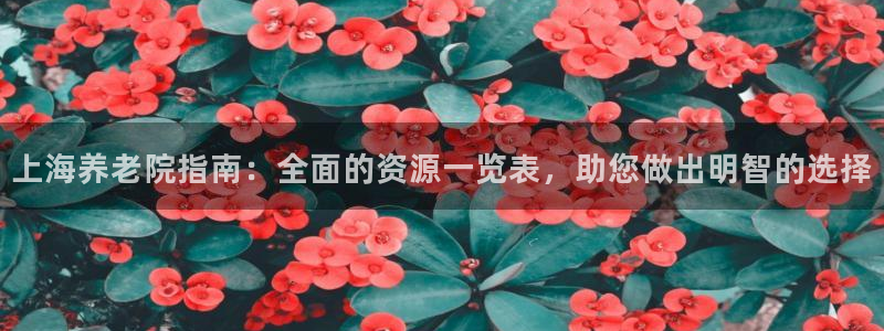韦德 网址