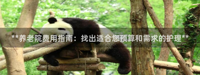 韦德官网在线