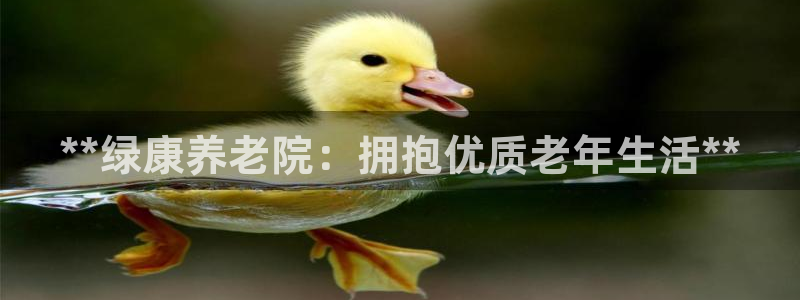 韦德 官网