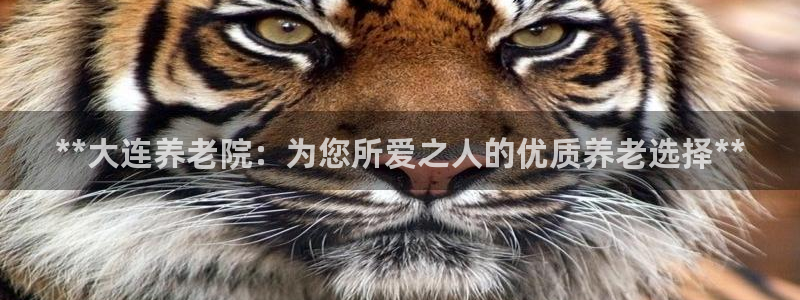 韦德官方网址