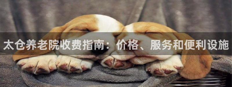 韦德1946游戏