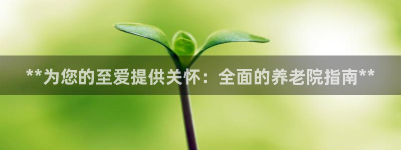 韦德1946体育