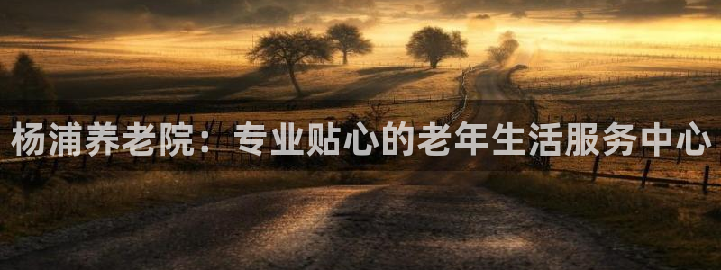 韦德 网址