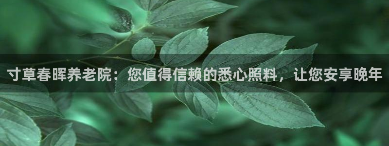 韦德1946手机版