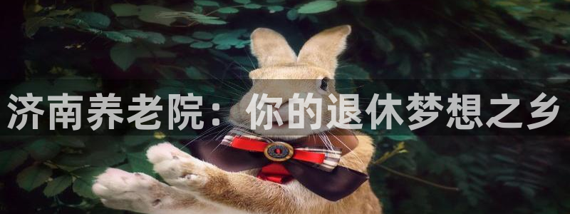 韦德 网址