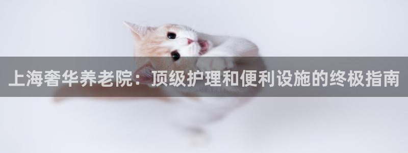 韦德1567