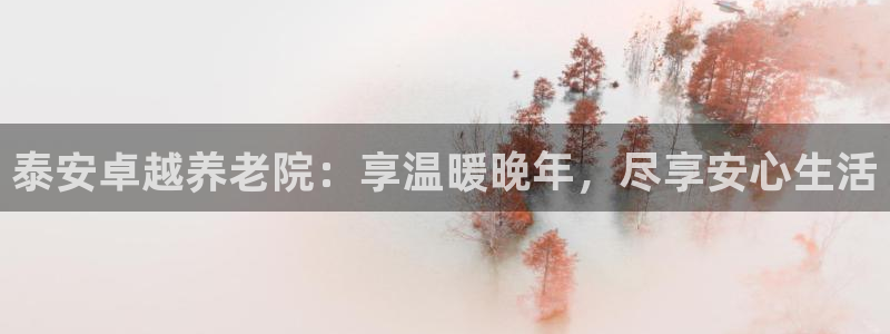 韦德2014