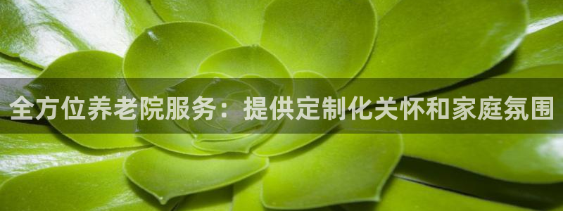 韦德合集