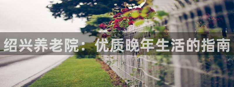 韦德1946手机版