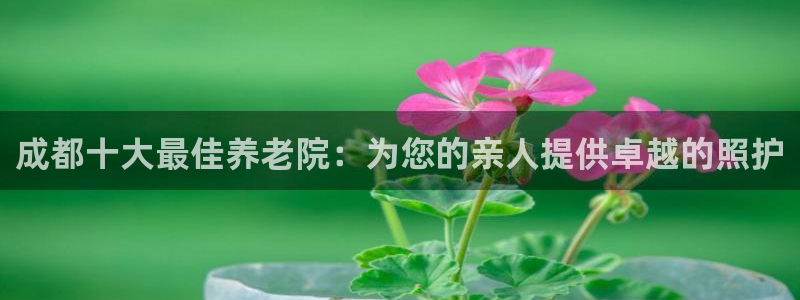 韦德1946备用网站