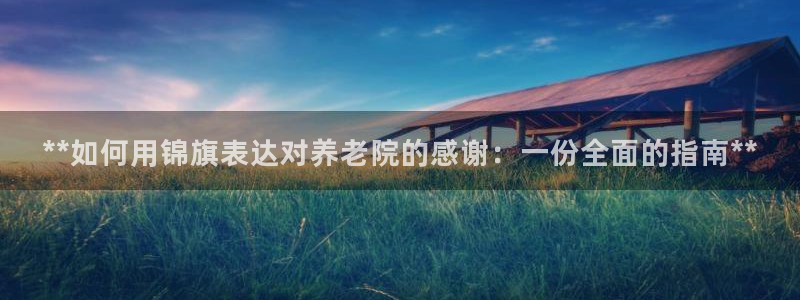 韦德游戏是什么