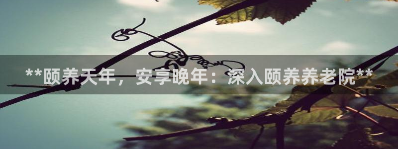 韦德事件