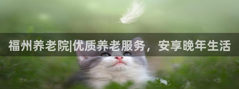 韦德 官网