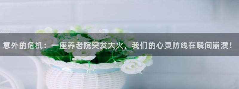韦德是哪个