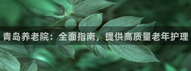 韦德1946国际