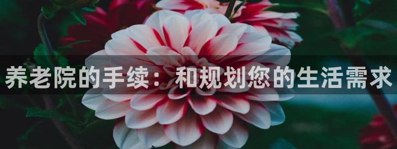 韦德1946官网